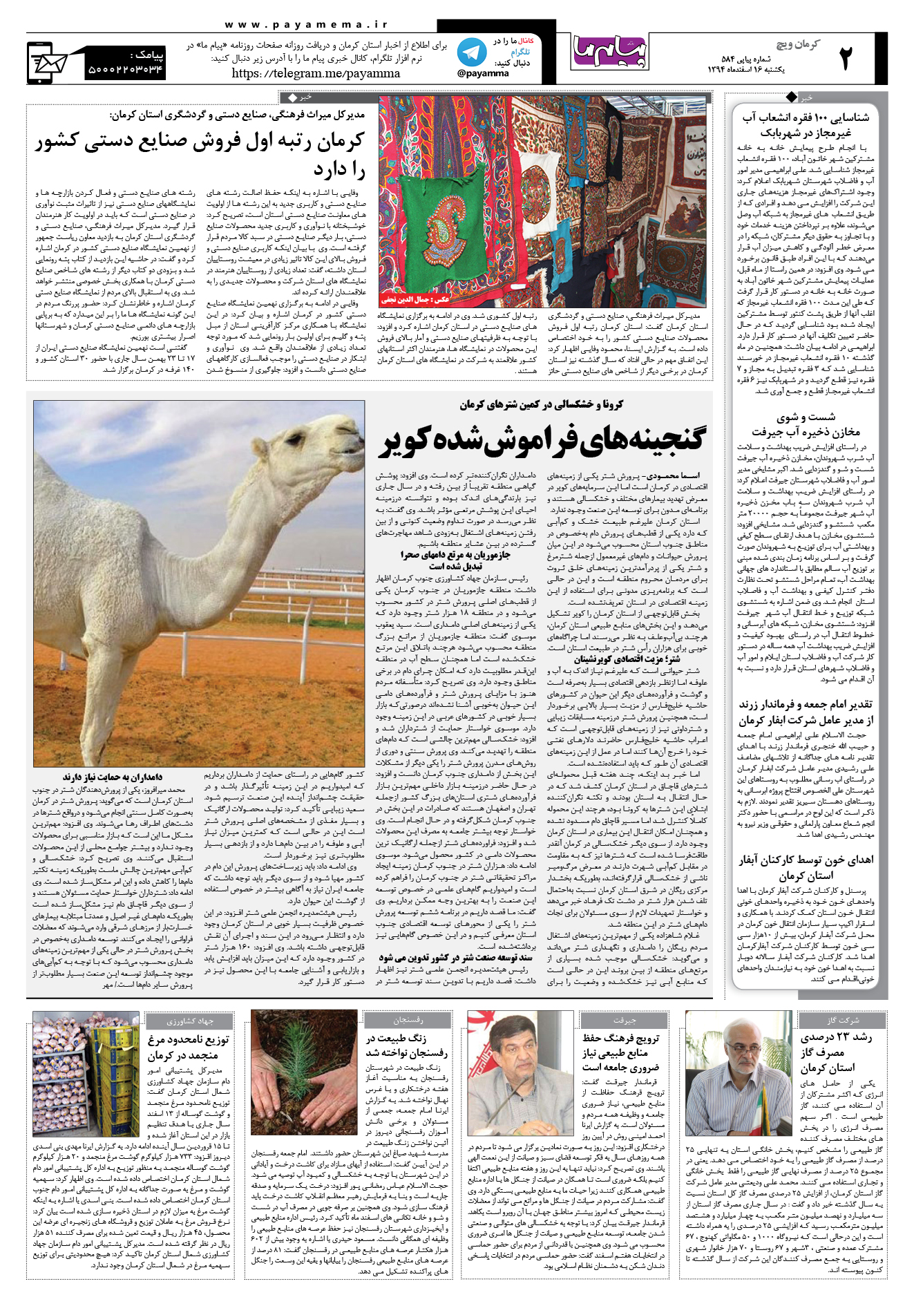 صفحه کرمان ویج شماره 584 روزنامه پیام ما