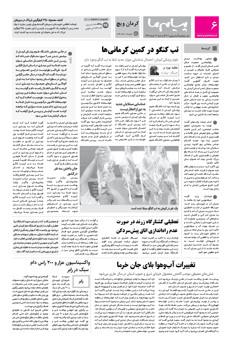 صفحه کرمان ویچ شماره 917 روزنامه پیام ما