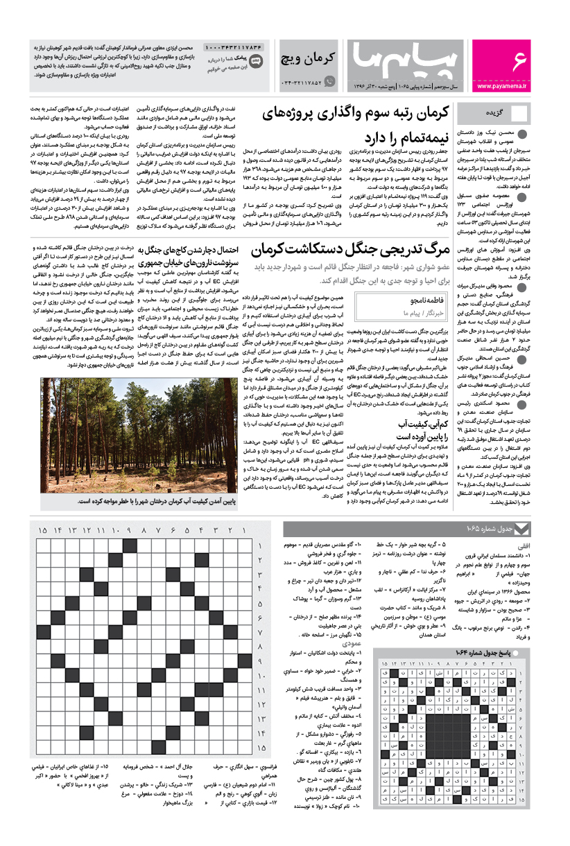 صفحه کرمان ویچ شماره 1065 روزنامه پیام ما