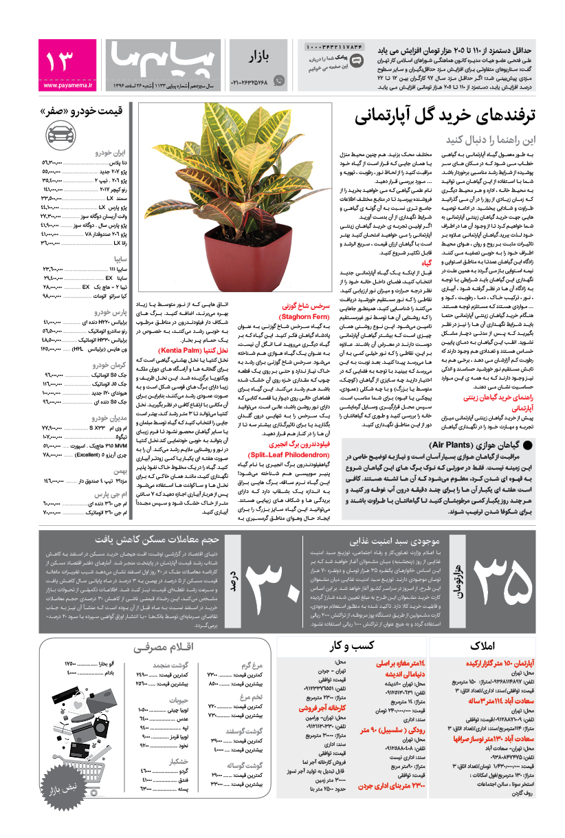 صفحه بازار شماره 1133 روزنامه پیام ما