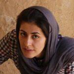 بهمن گرسنگی روی حیات وحش کردستان