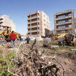 درآمد 340 میلیارد تومانی از جریمه قطع درختان پایتخت