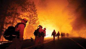 تغییر الگوی آتش‌سوزی از مراتع به جنگل‌ها