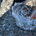 «جان دادن یک گنجشک» انگیزه جمع‌آوری فیلتر سیگار