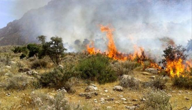 مهار آتش‌ در منطقه حفاظت‌شده «کرایی»
