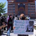 اتهام دوباره سگ‌‌کشی به شهرداری تبریز