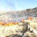 وقوع بیش از ۴۰ آتش‌سوزی در جنگل‌ها و تالاب‌های خوزستان