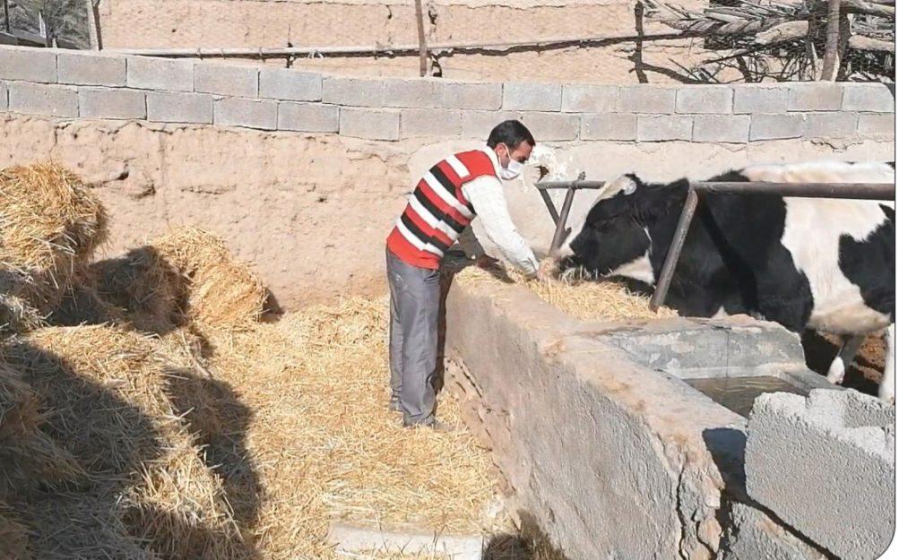 وام‌های کشاورزان خوزستانی سه سال استمهال می‌شود