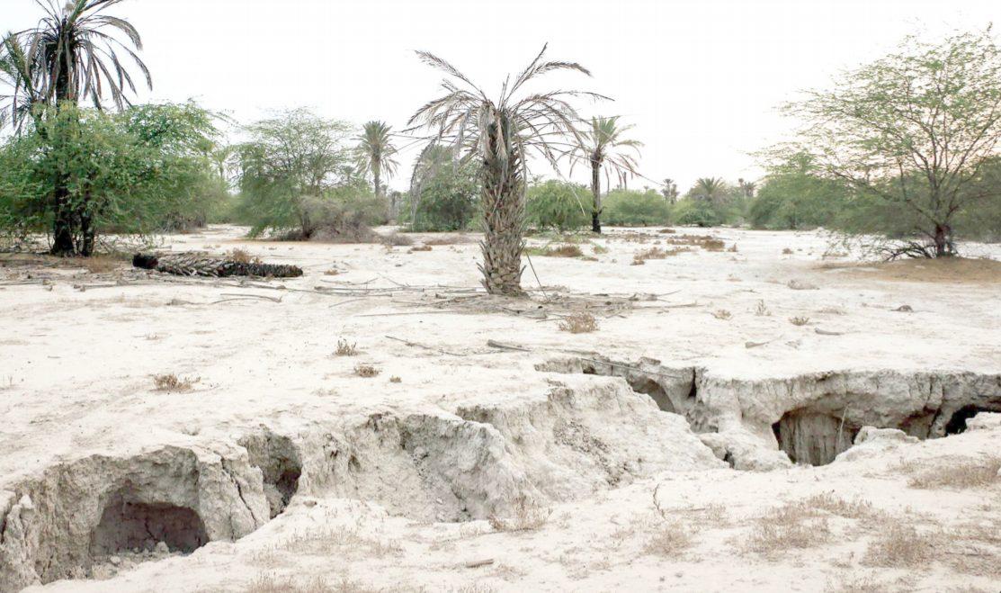 100 درصد  مساحت کشور تحت تاثیرخشکسالی است