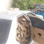 وضعیت نامعلوم قاچاق چوب در زاگرس