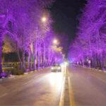 شکنجه نورانی درختان در اصفهان