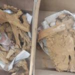 واکاوی سرنوشت جسدهای تاریخی معدن «لاپلنگ»