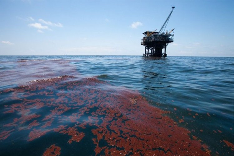 آلودگی نفتی مهم‎ترین چالش خلیج فارس است