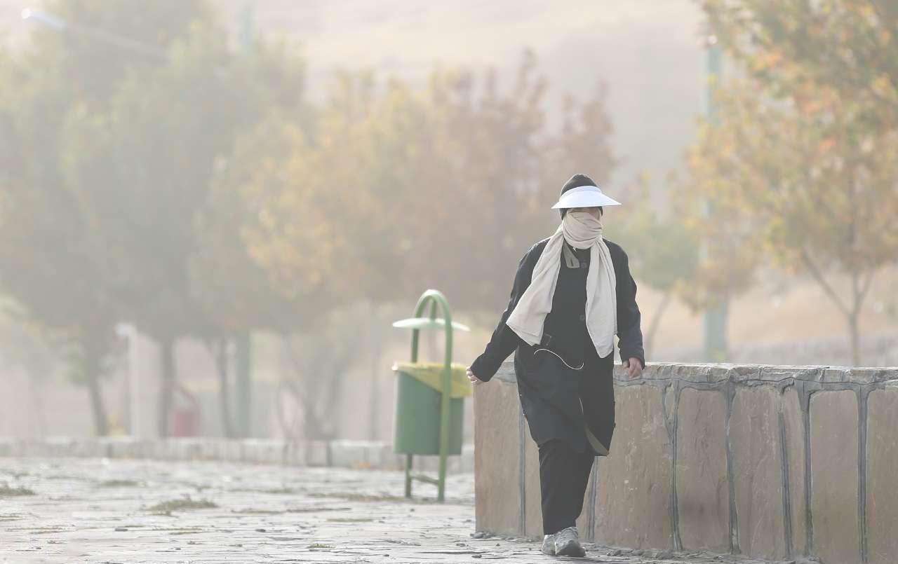 افزایش دما و نفوذ گرد و غبار به ایران