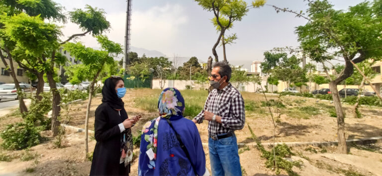 معمای ناپدید شدن درختان چیذر