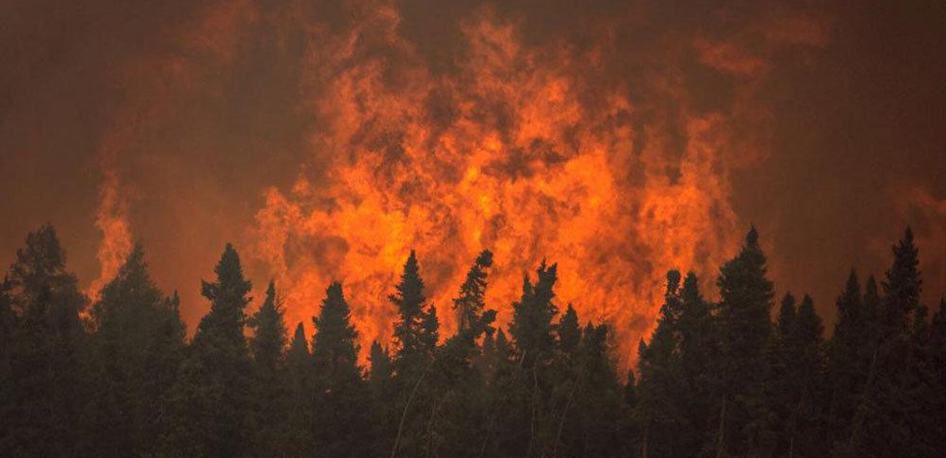 خسارت بی‌سابقه آتش‌سوزی‌های جنگلی اخیر در اروپا