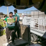 تغییر شرکای کشاورزی ایران در عصر تحریم‌ها
