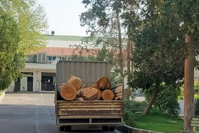 ​​درخت‌کُشان در تهران