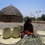 تنوع منابع معیشتی راهکار روستانشینان در مقابله با خشکسالی