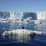 تغییر اقلیم و آب شدن یخ‌های قطبی