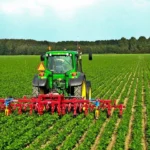 انتقاد اتاق بازرگانی از تعیین عوارض صادراتی محصولات کشاورزی