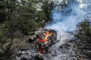 آتش جنگل‌های رودبار در بیشتر نقاط مهار شد