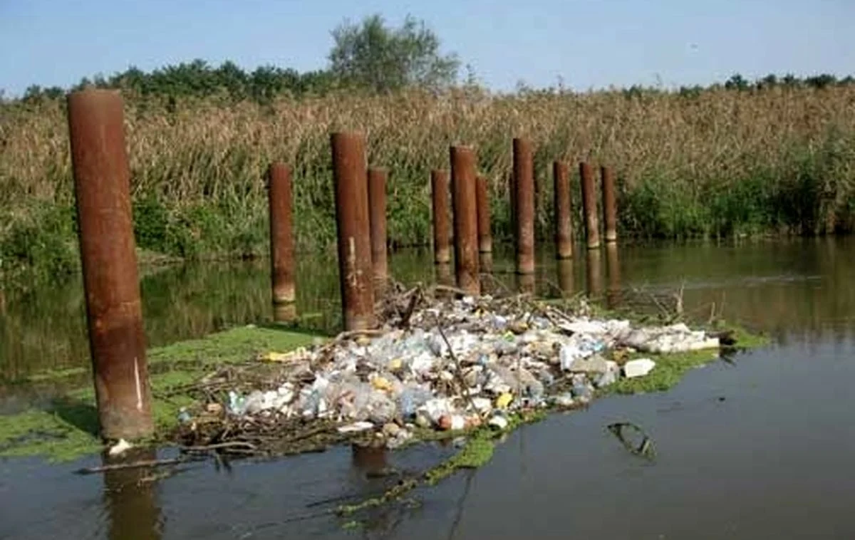 درخواست جلوگیری  از آلودگی رودخانه «دز»