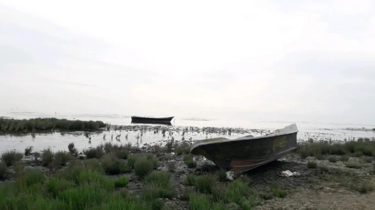 مرگ خلیج گرگان حتمی است