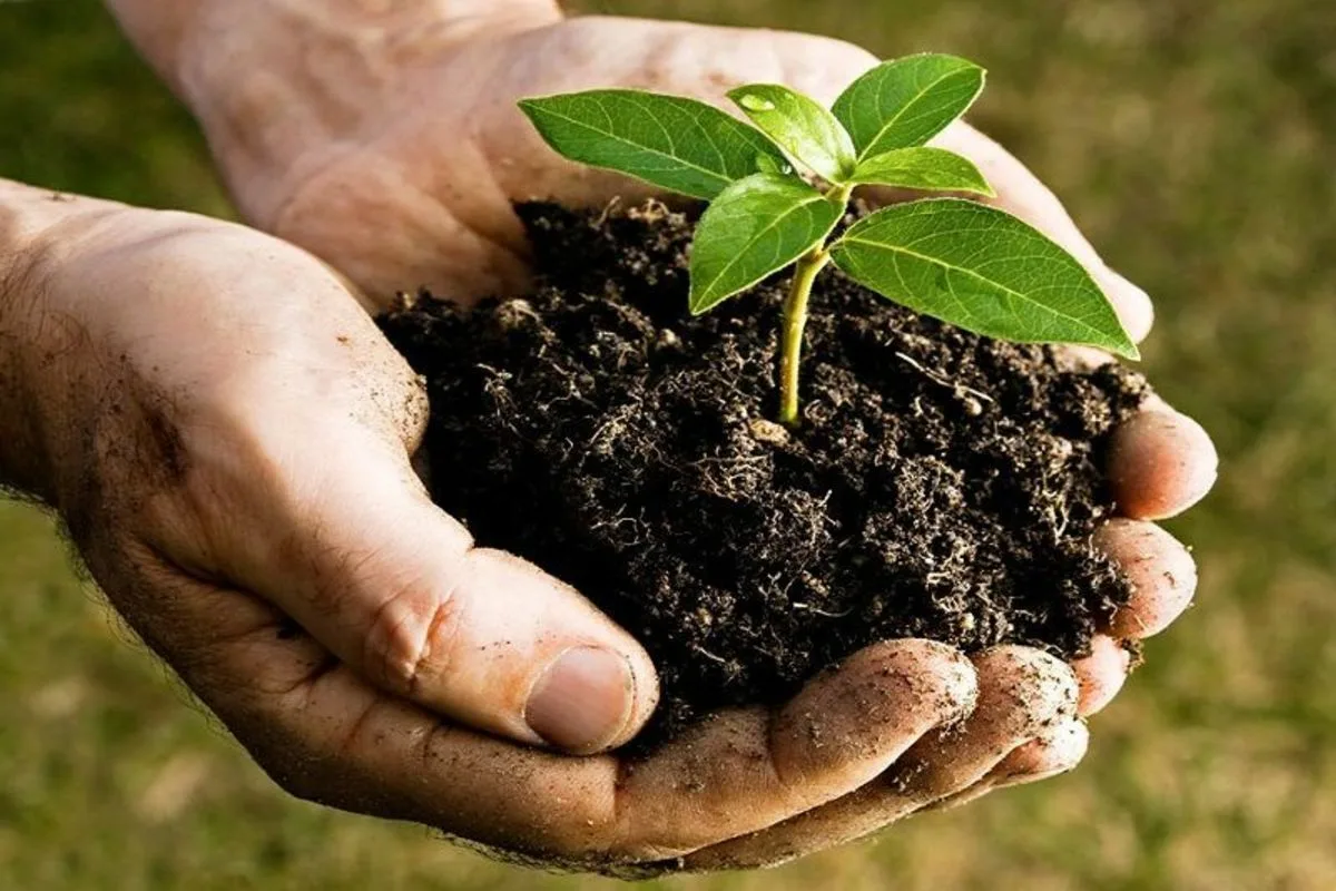 اولویت‌های 22 گانه محیط زیست برای حفاظت از خاک