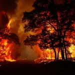 مهار آتش‌سوزی جنگل‌های شرق مازندران