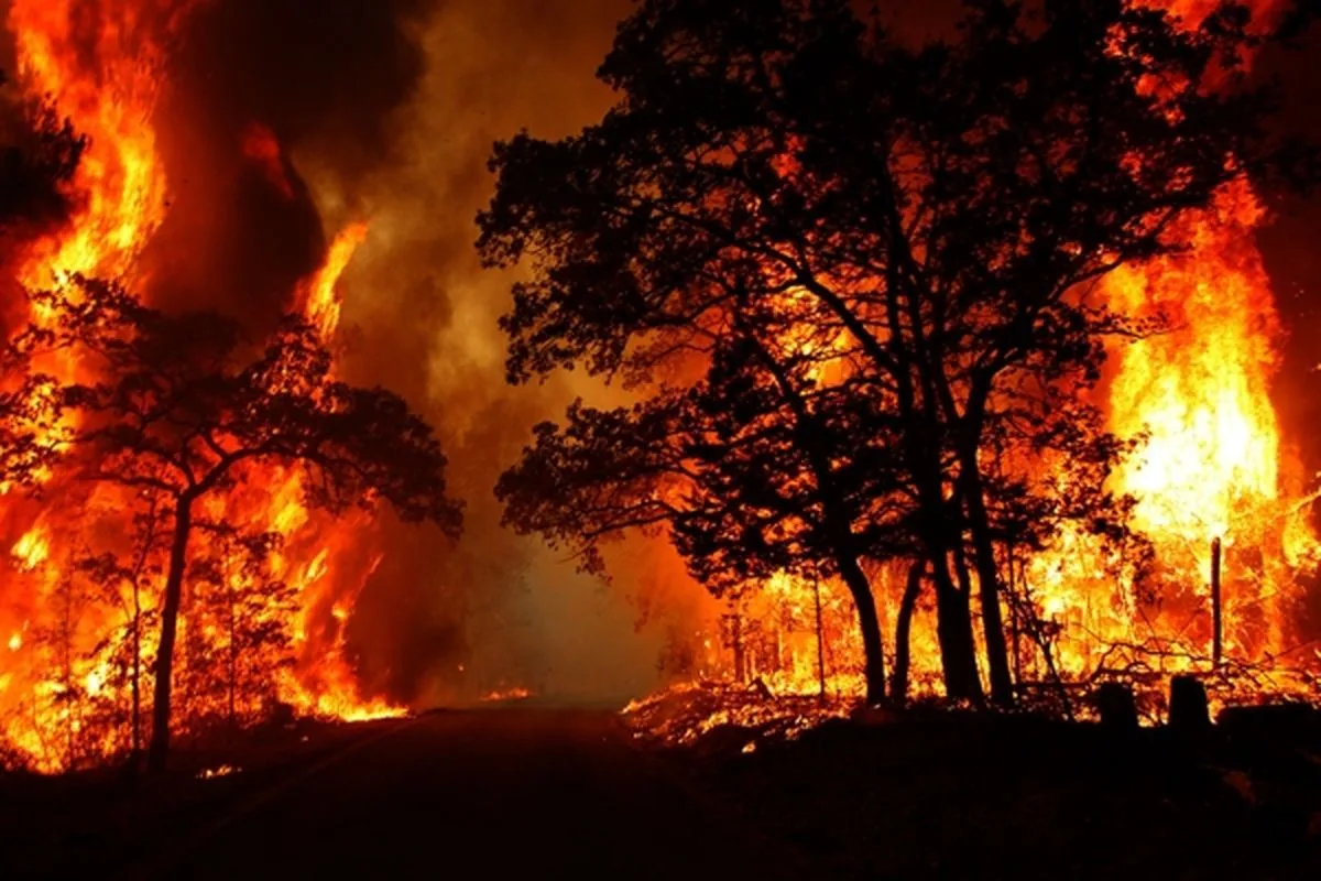 مهار آتش‌سوزی جنگل‌های شرق مازندران