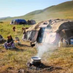 کوچِ به ناچاری
