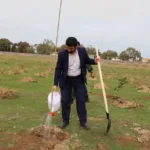 استفاده از آب سبز و پساب‌ها برای کاشت یک میلیارد نهال