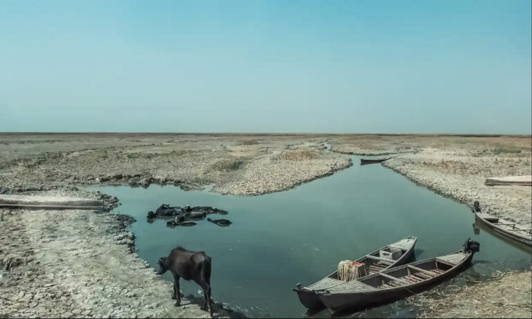 از بصره تا بغداد؛ مرداب‌ها بیابان شدند
