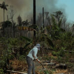 گامی بلند برای حفاظت از جنگل‌های آمازون