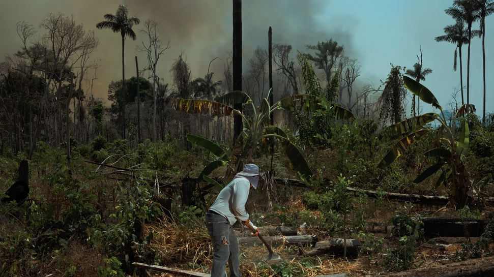 گامی بلند برای حفاظت از جنگل‌های آمازون