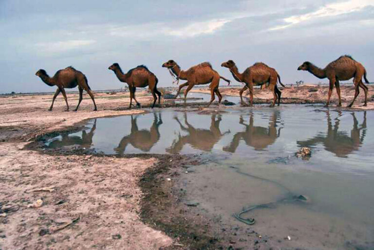 اختلاف قدیمی دو همسایه بر سر آب