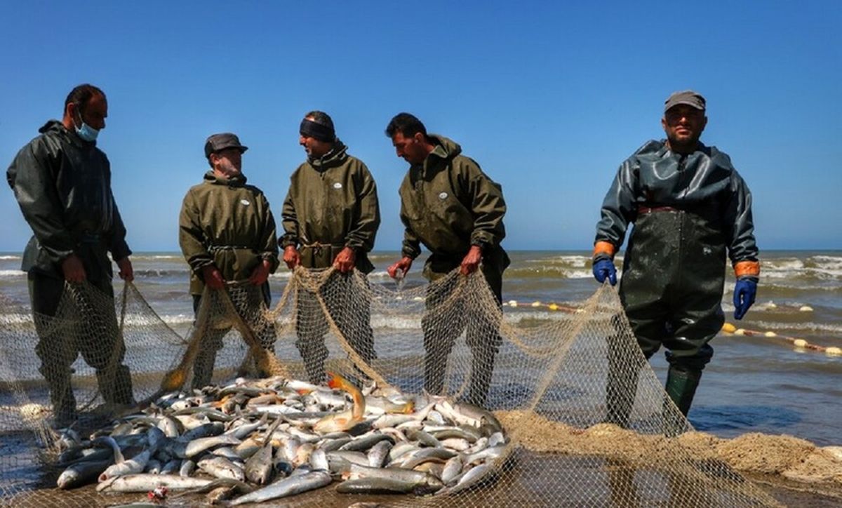 ممنوعیت بلندمدت صید ماهیان خاویاری