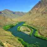 ردیابی مسمومیت «ارس»