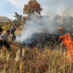 ۵۰ هکتار از پارک ملی تندوره در آتش سوخت