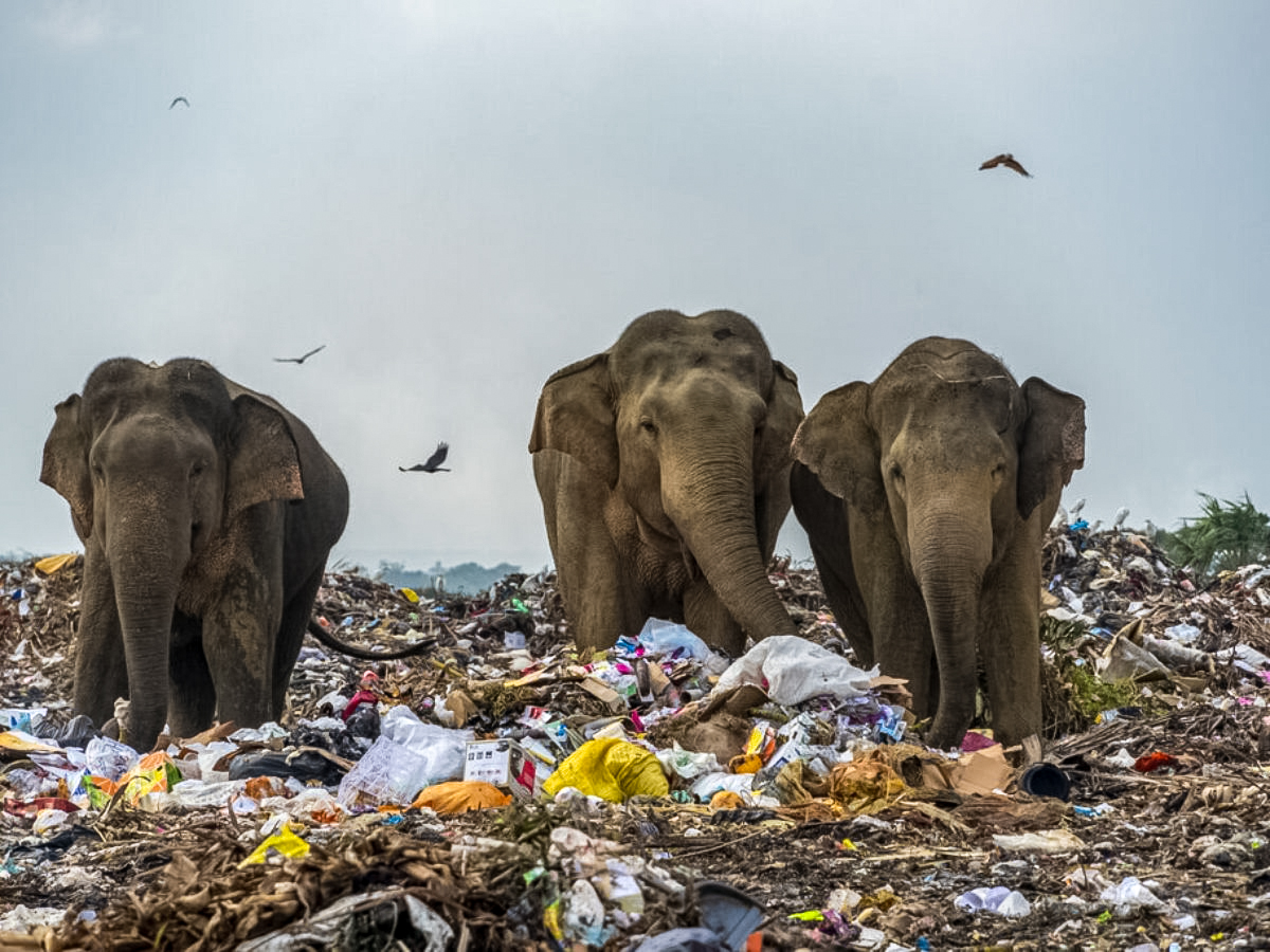 اثر آلودگی پلاستیکی بر تغییر اقلیم