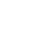 فاطمه یوسفی