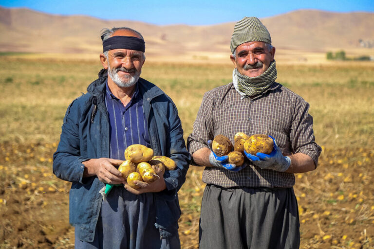 جزئیات مصوبهٔ جدید حمایتی دولت از کشاورزان