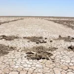 زخمی دیگر بر بستر بی‌جان هامون