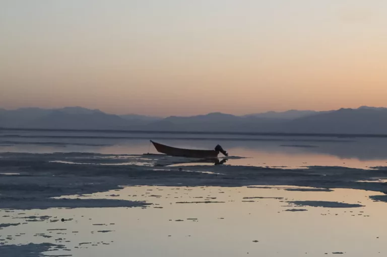 اعداد دروغ نمی‌گویند