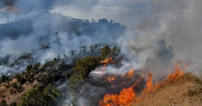 صدور ۴ دستور قضایی برای آتش‌سوزی جنگل‌های مریوان