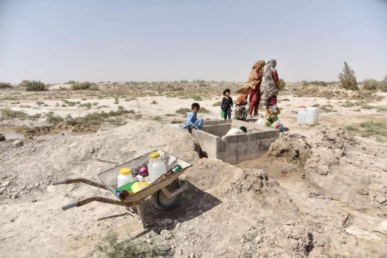 خشکسالی اکولوژیک در جنوب شرق ایران