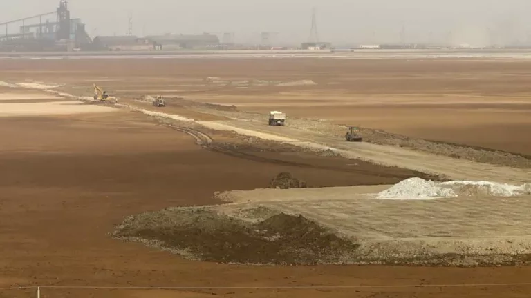 نجات موقت تالاب شادگان