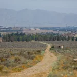 «بمو» را تکه‌تکه کردند