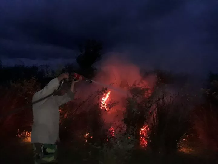 آتش‌سوزی در پارک ملی بوجاق مهار شد